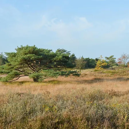 Gorgeous In Romo With Sauna Romo